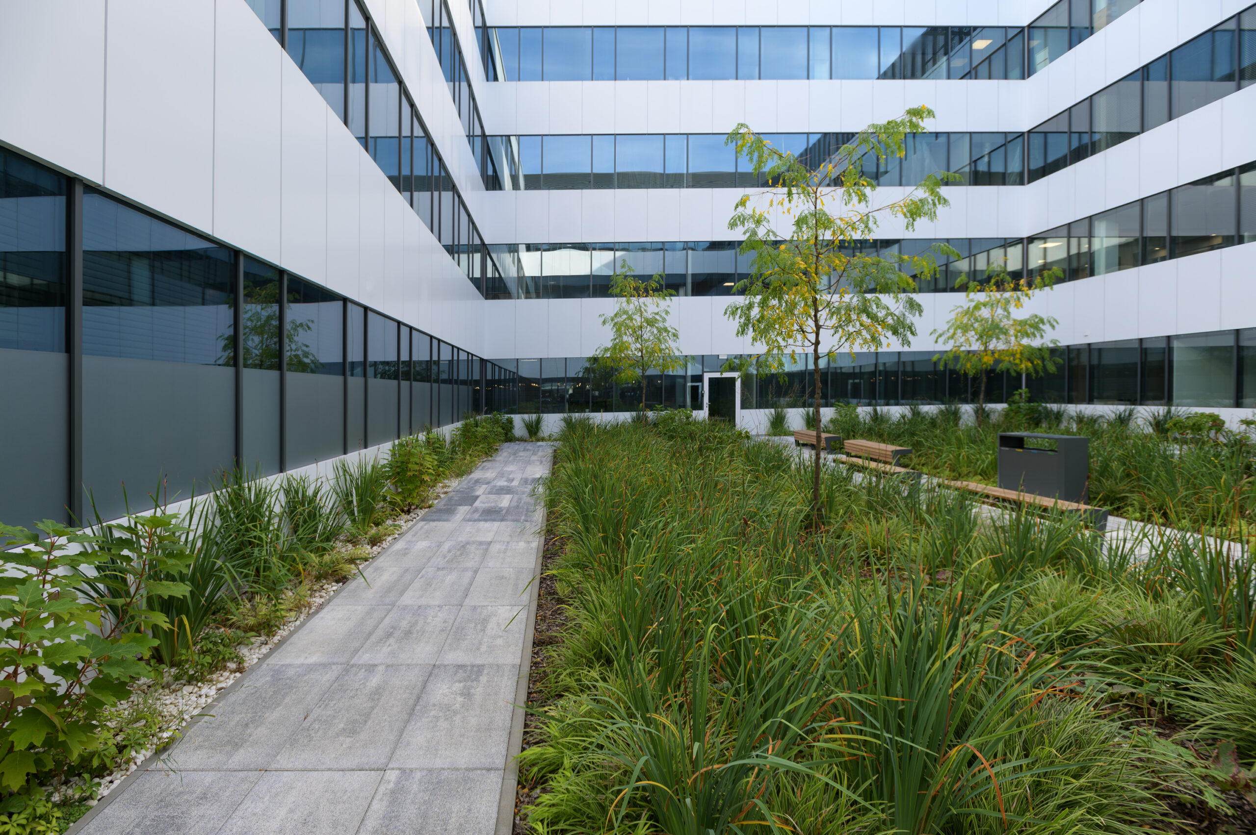 patio from ground level 01 scaled.jpg